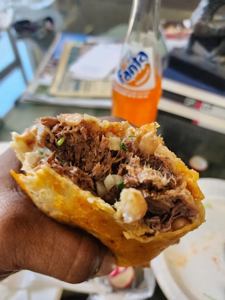 Birria Burrito